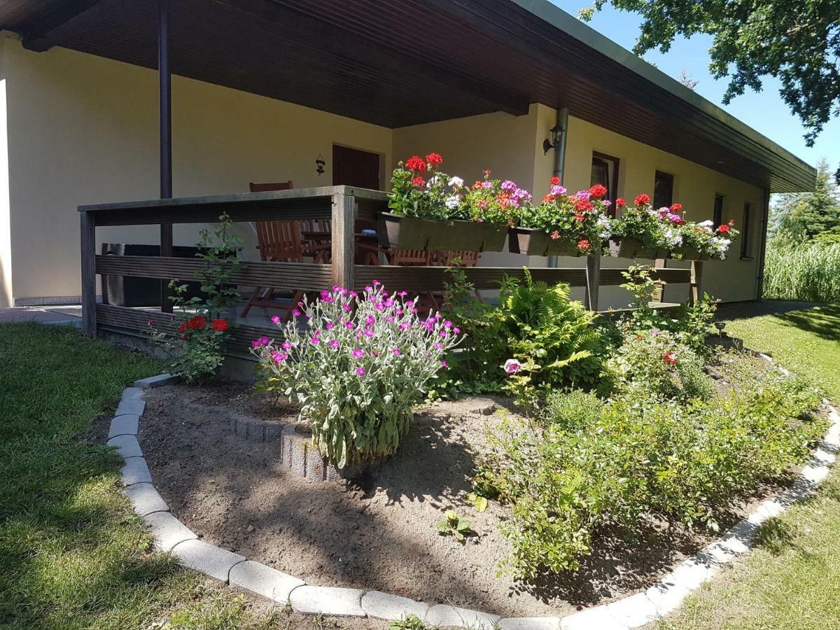 Apartmán Ferienwohnanlage "Am Bernsteinsee" Dierhagen Exteriér fotografie
